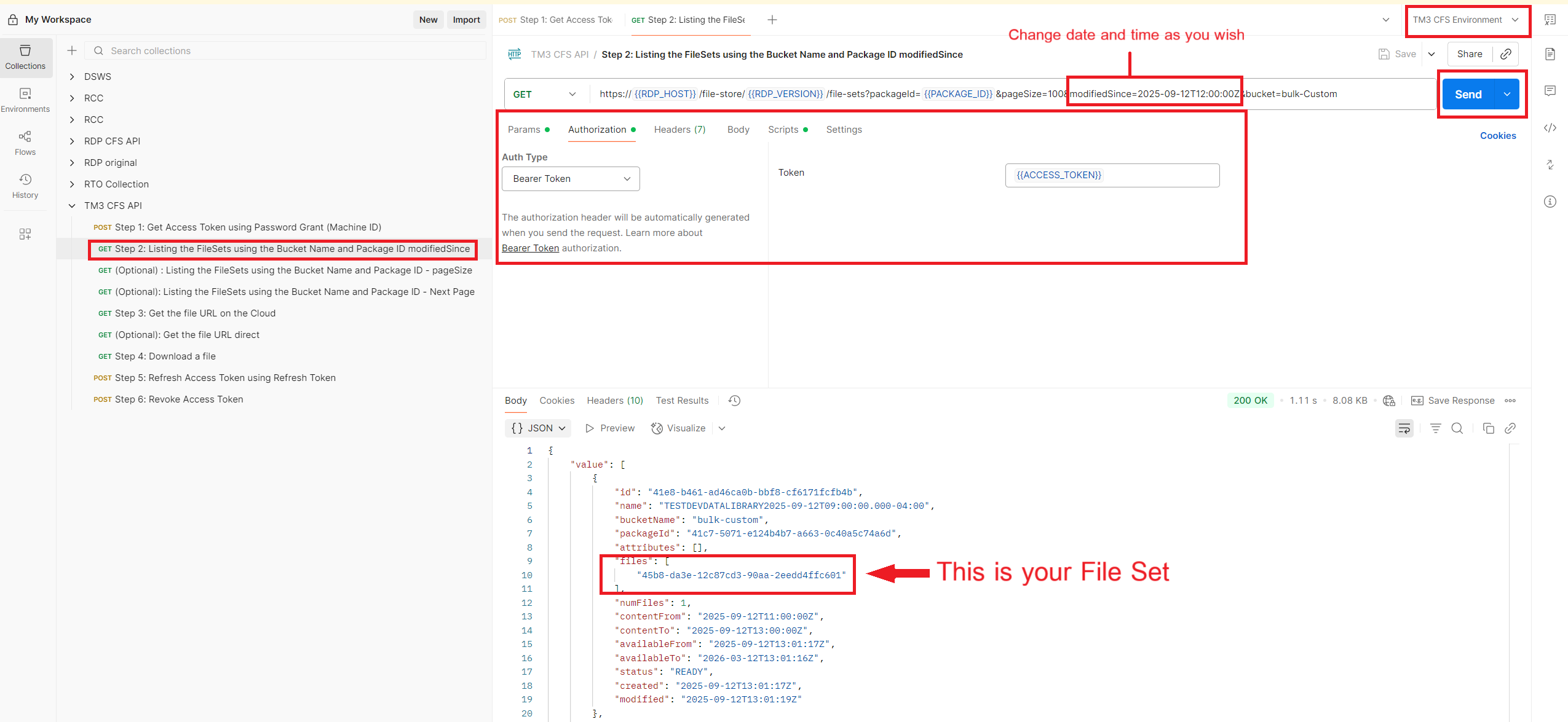 Step 2: Listing the FileSets using the Bucket Name and Package ID modifiedSince