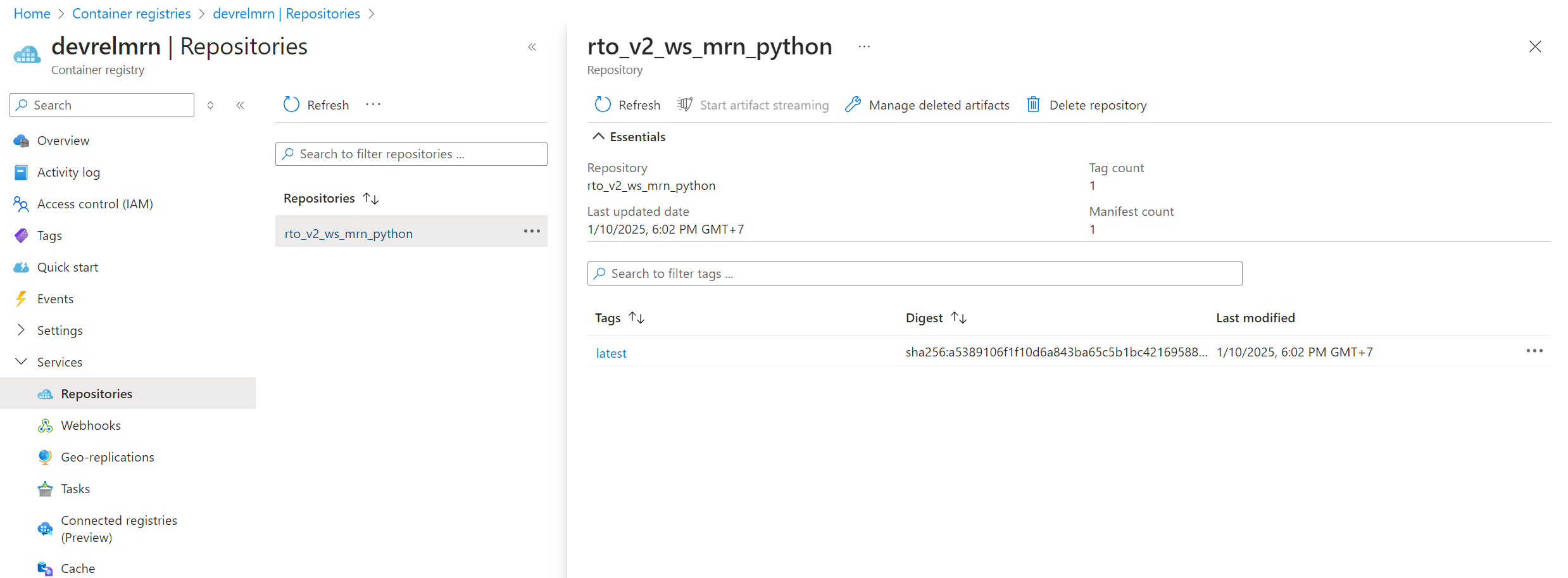 the pushed image on Azure container registry repo