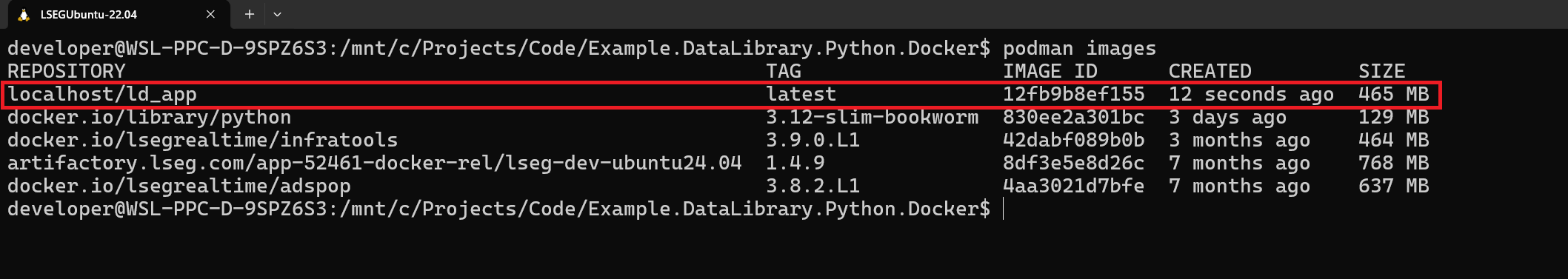 ld library python app image is created