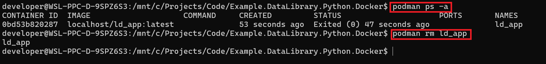 deleting ld_app container