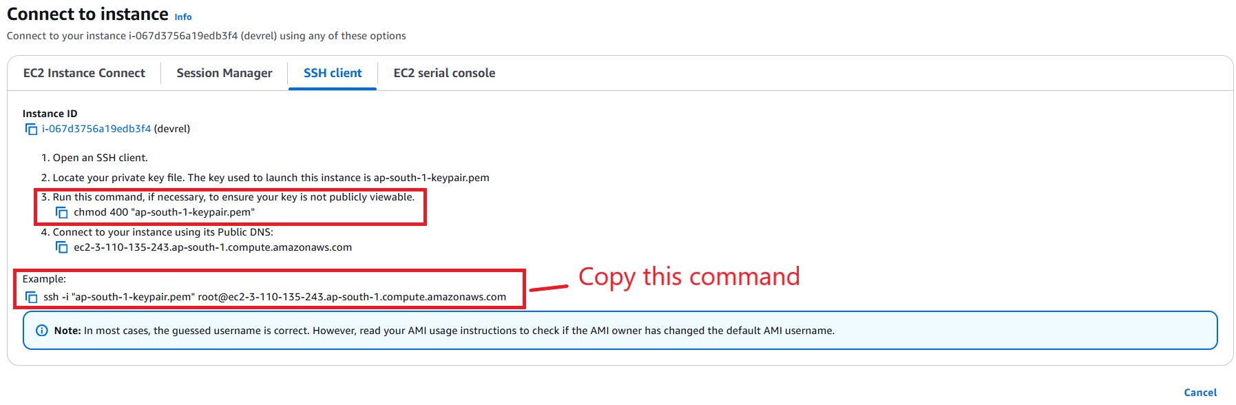 copy this command