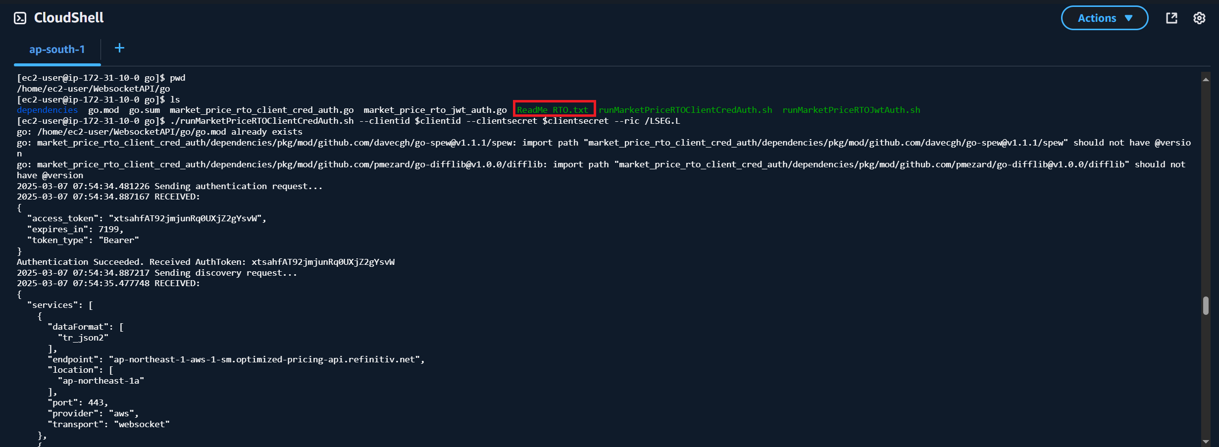 running WebSocket API Go RTO examples