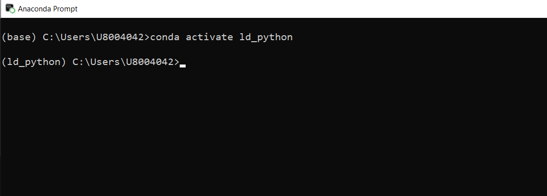 conda environment activated